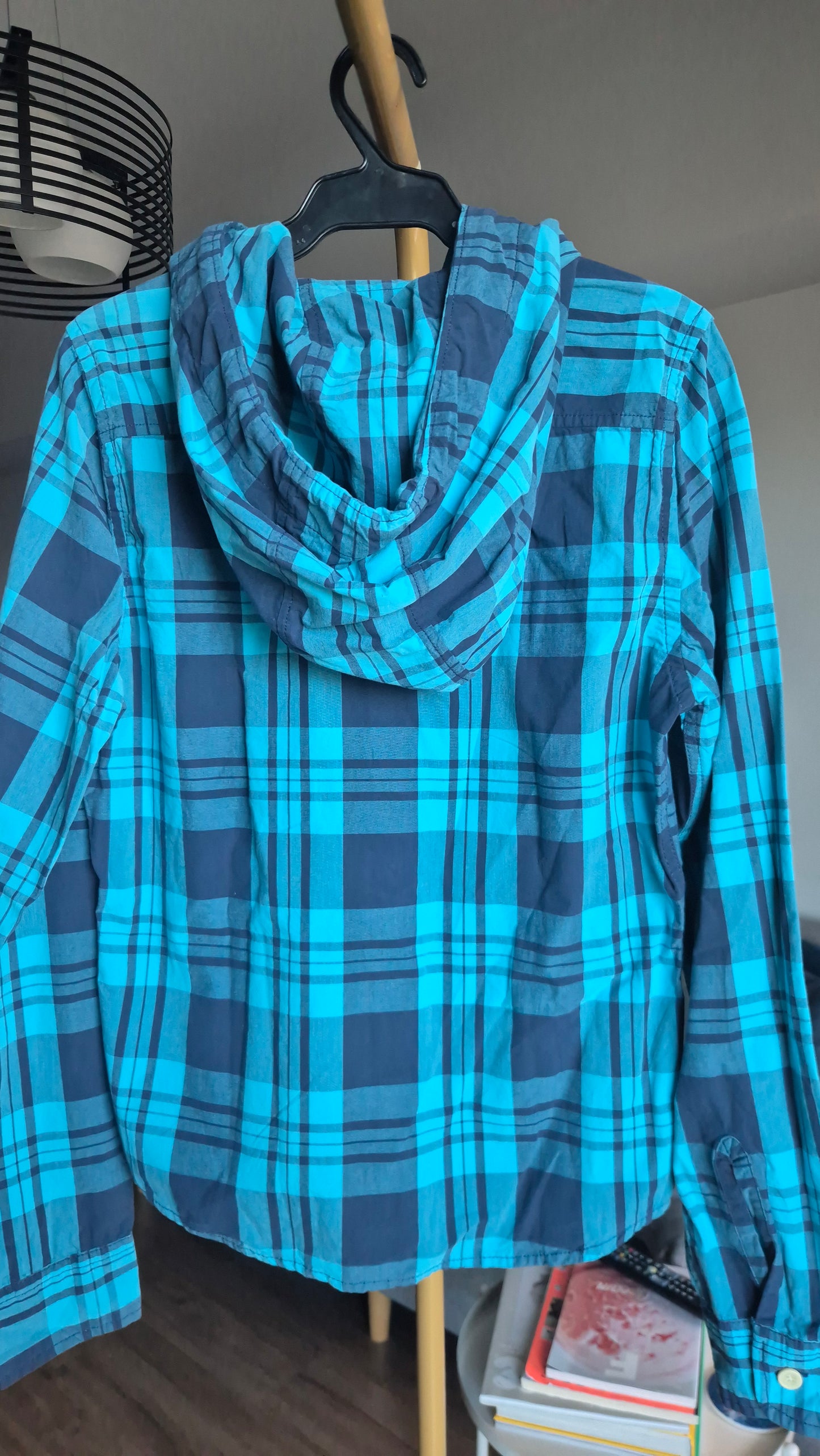Hollister Button Down Hoodie