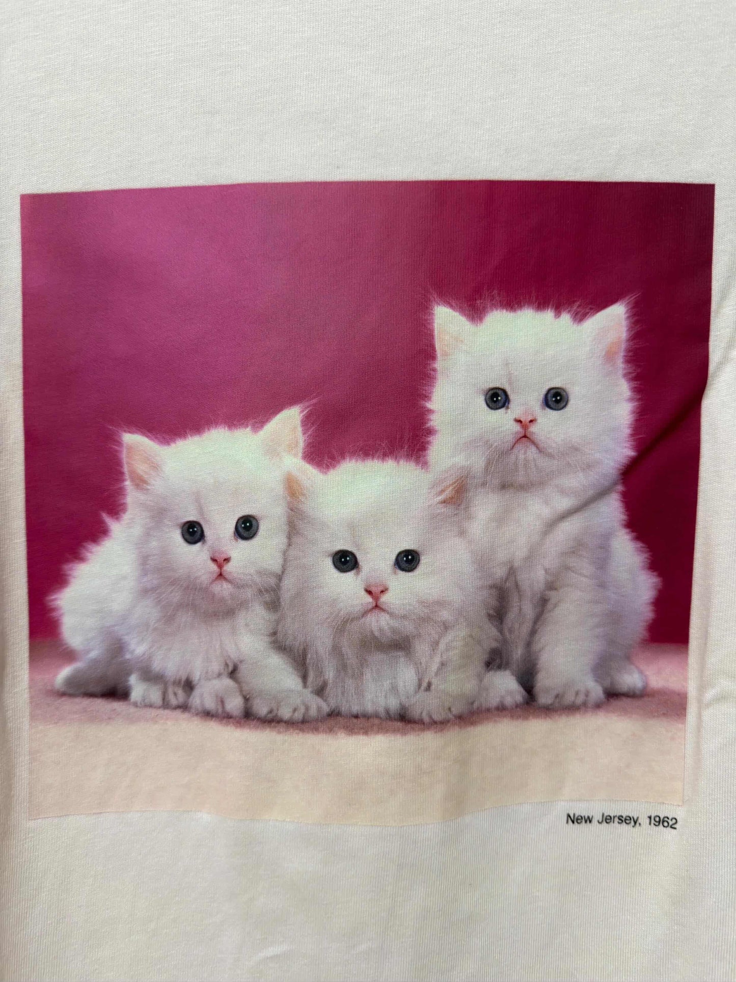 Uniqlo Graphic Tee (Cat)